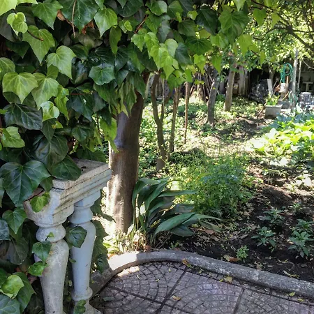 Rectina Bed & Breakfast Pompei