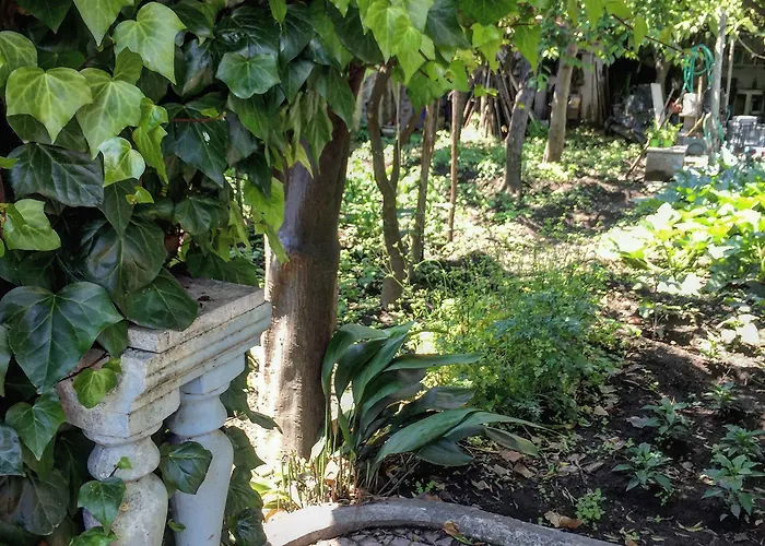 Rectina Bed & Breakfast Pompei