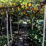 Bed & Breakfast Rectina 3*