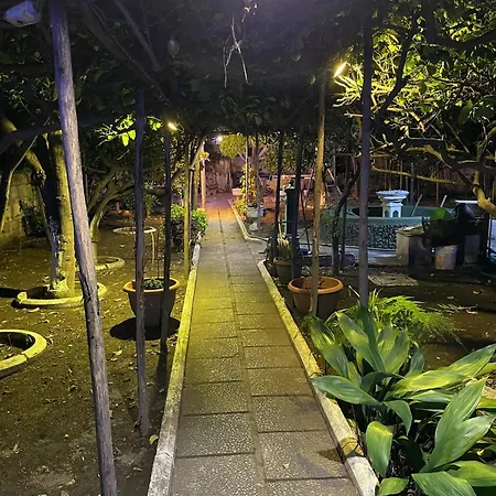 Bed & Breakfast Rectina