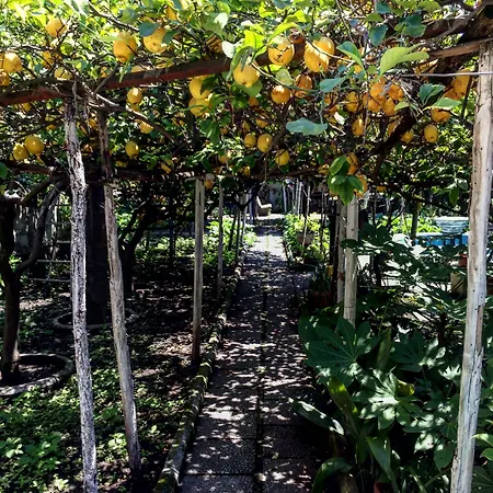 Bed & Breakfast Rectina 4*