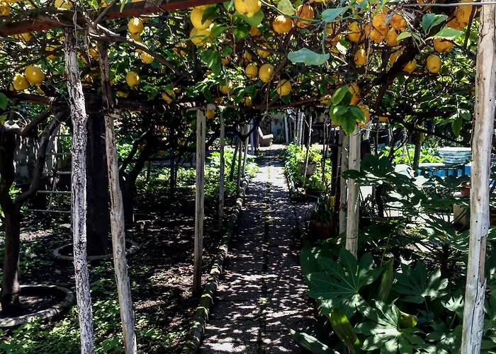 فندق مبيت وإفطار Rectina 4*